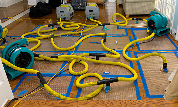 Professional Water Damage Restoration technician working in Milton, IN